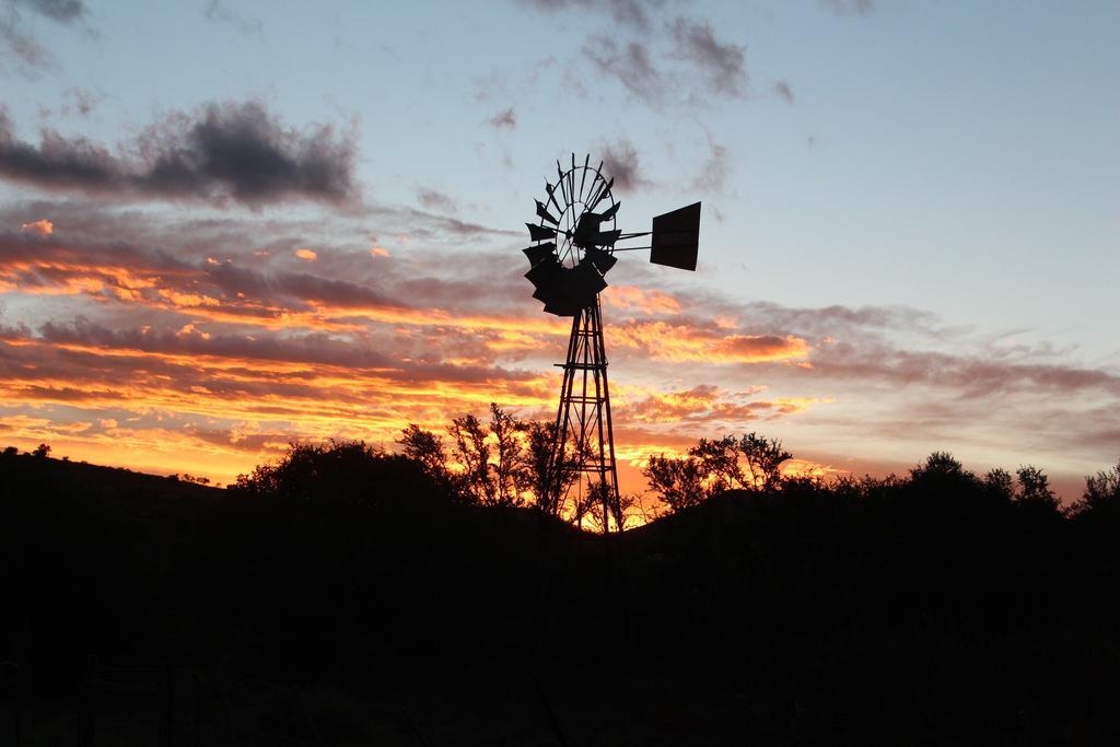 Denmark Farm Stay Cradock Δωμάτιο φωτογραφία